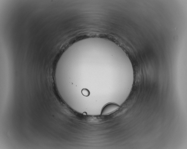 X0000111510616200907141105