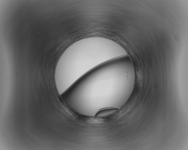 X0000111510617200907141105