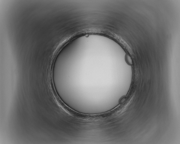 X0000111510625200907141105