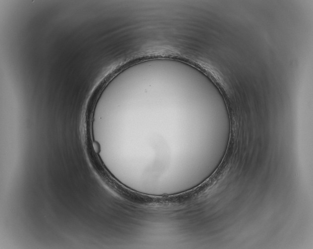 X0000111510630200907141105