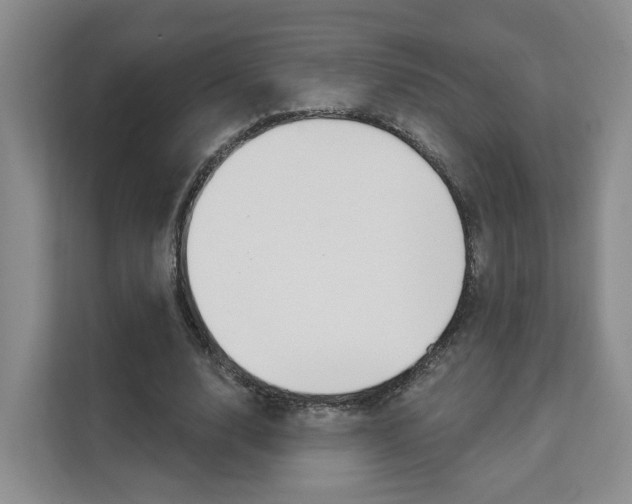 X0000111510632200907141105