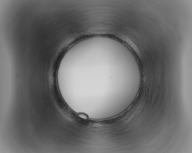 X0000111510635200907141105