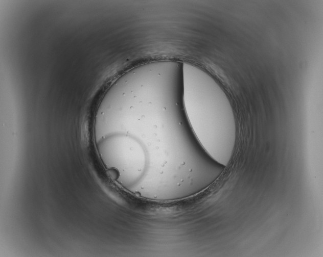X0000111510638200907141105