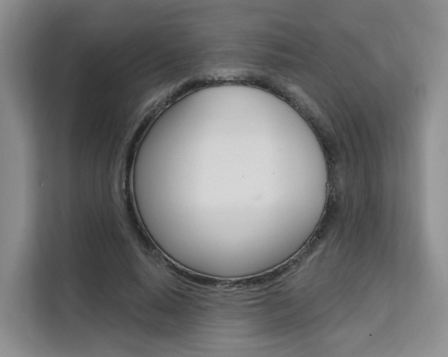 X0000111510640200907141105