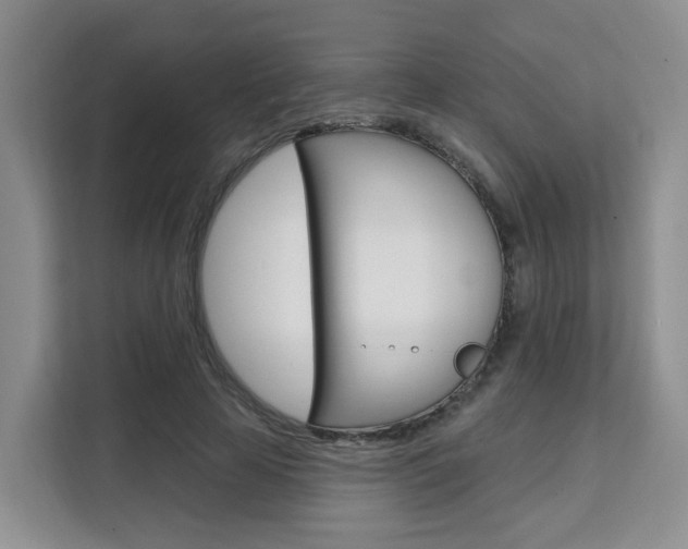 X0000111510641200907141105