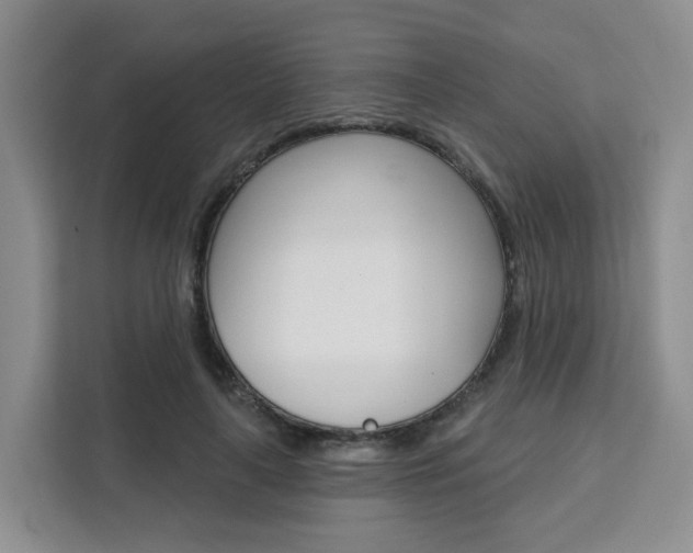 X0000111510643200907141105