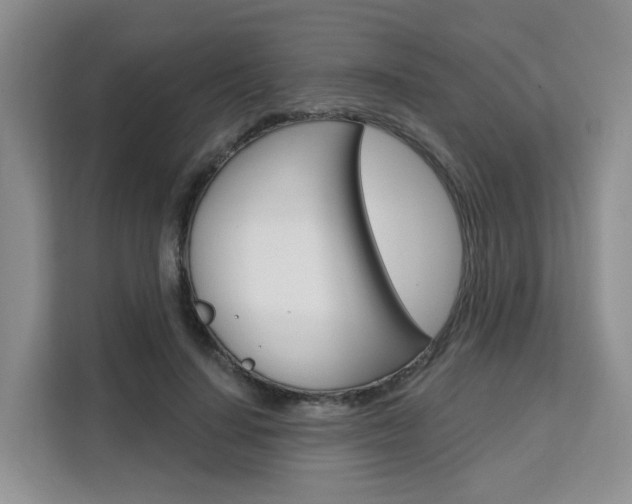 X0000111510644200907141105
