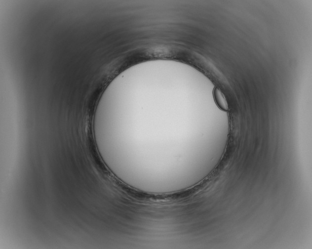 X0000111510645200907141105