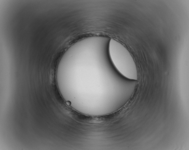 X0000111510656200907141105