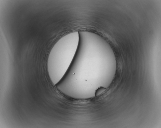 X0000111510661200907141105