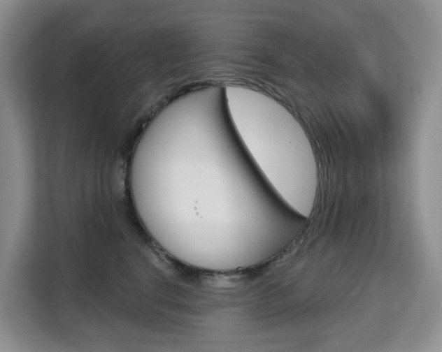 X0000111510664200907141105