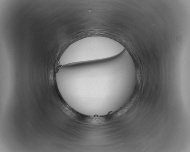 X0000111510670200907141105