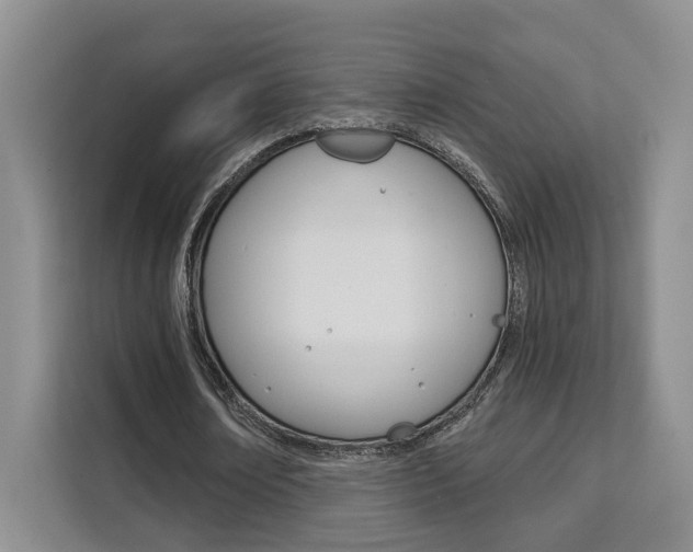 X0000111510674200907141105