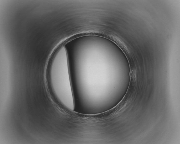 X0000111510676200907141104