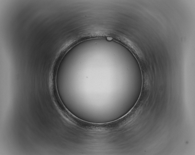 X0000111510677200907141104