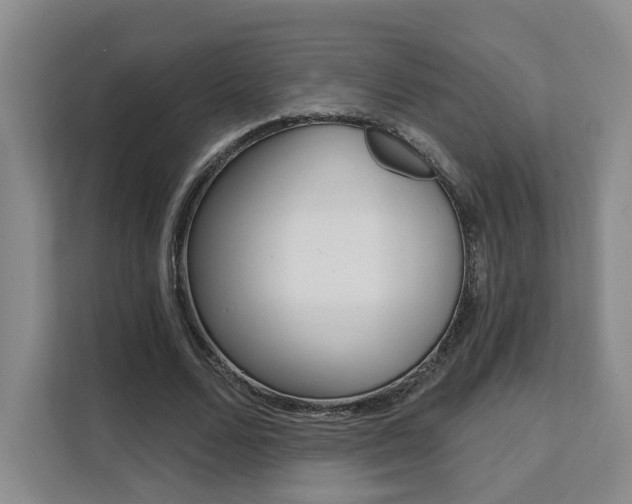X0000111510680200907141104