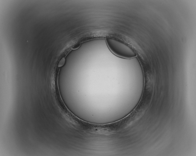 X0000111510681200907141104