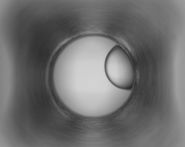 X0000111510684200907141104