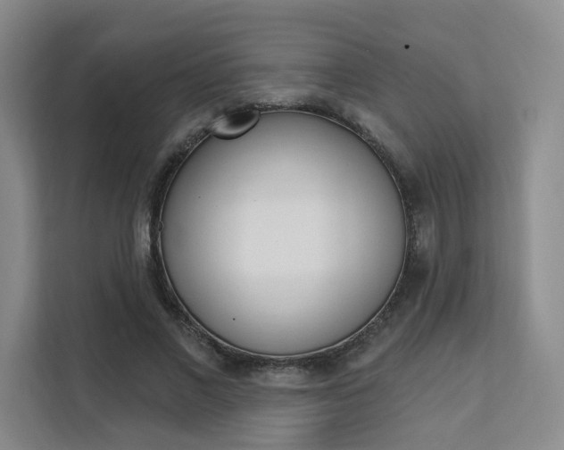 X0000111510685200907141104