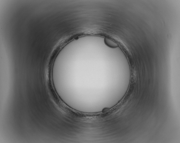 X0000111510686200907141104