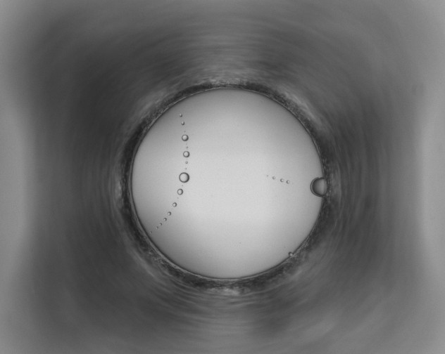 X0000111510687200907141104