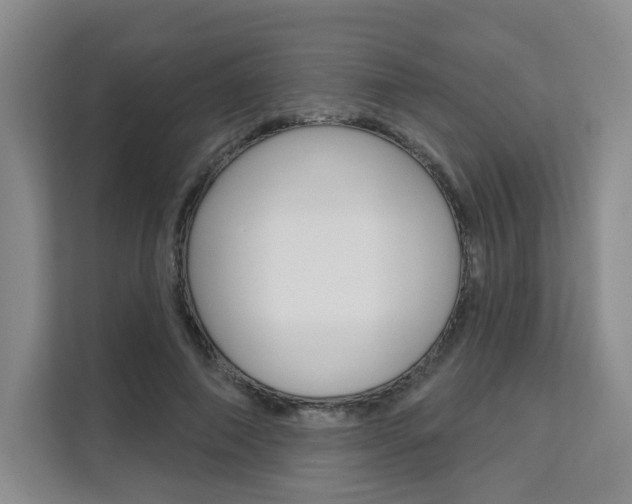 X0000111510690200907141104
