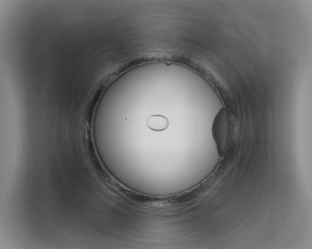 X0000111510692200907141104