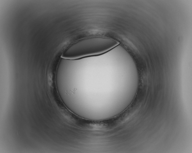 X0000111510693200907141104