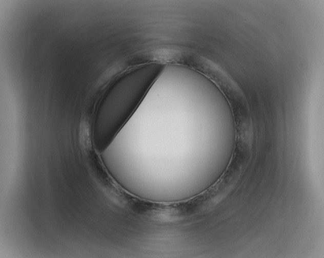 X0000111510696200907141104
