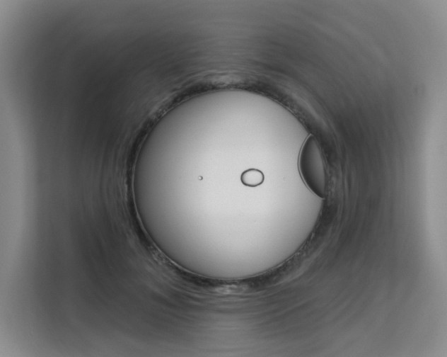 X0000111510700200907141104