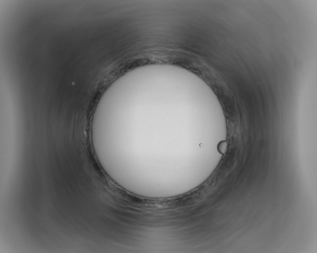 X0000111510702200907141104