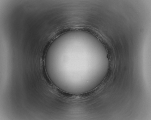 X0000111510704200907141104