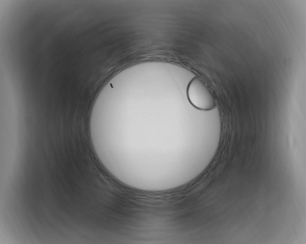 X0000111510708200907141104