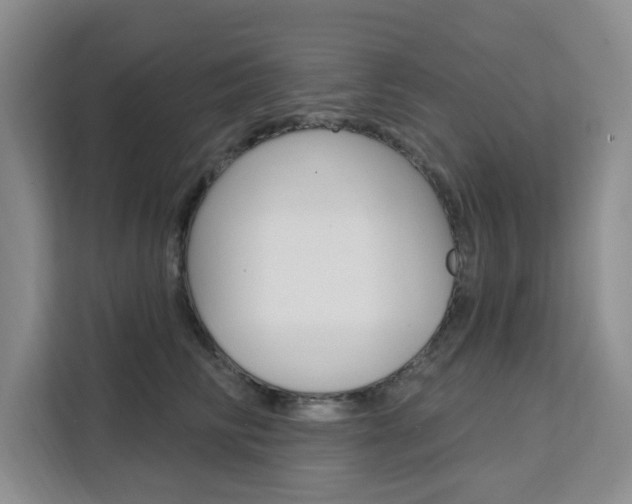 X0000111510710200907141104