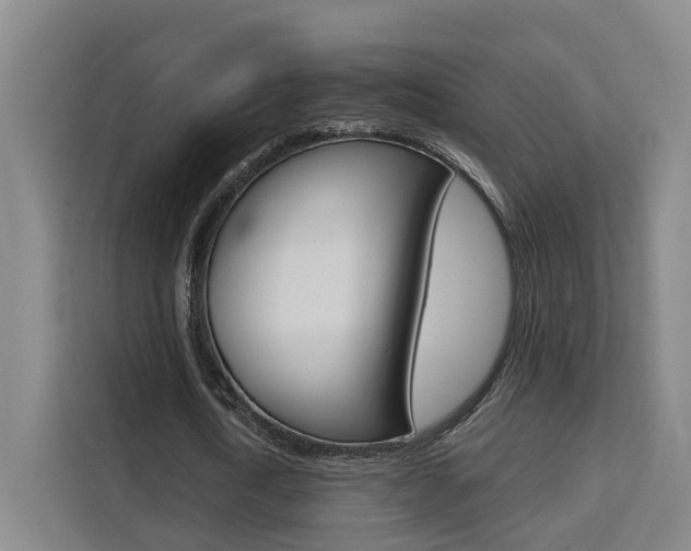 X0000111510722200907141103