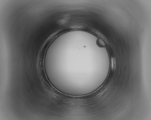 X0000111510723200907141103