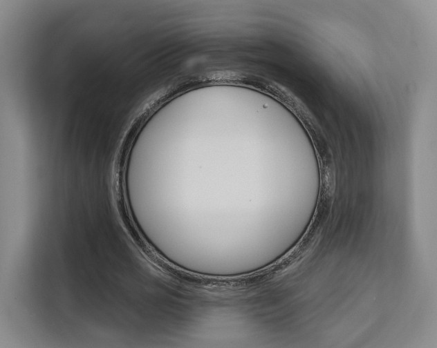 X0000111510725200907141103