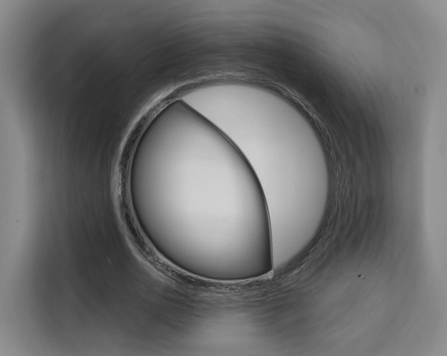 X0000111510726200907141103