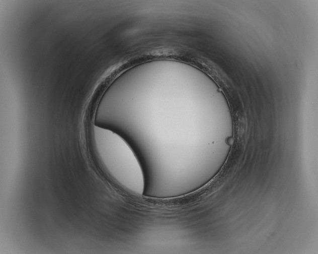 X0000111510727200907141103