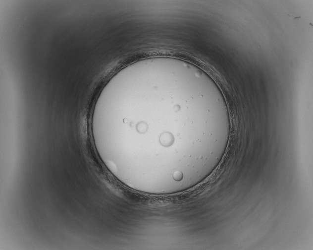 X0000111510729200907141103