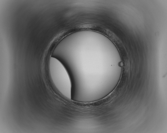 X0000111510731200907141103