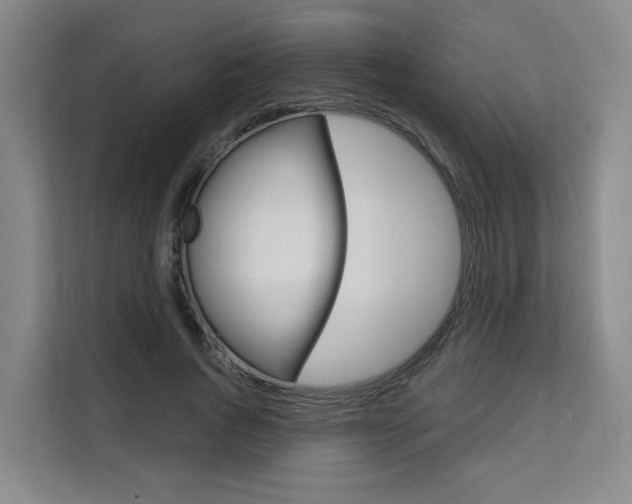 X0000111510736200907141103