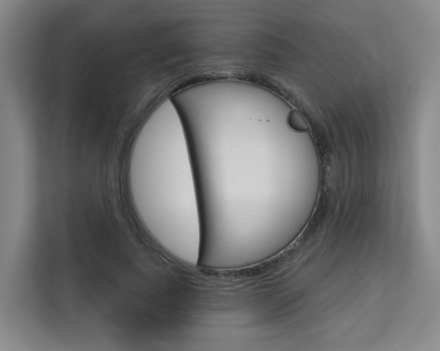 X0000111510739200907141104