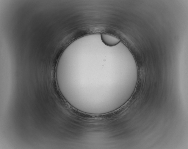 X0000111510741200907141104