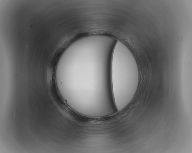 X0000111510742200907141104
