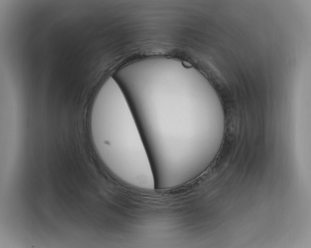 X0000111510743200907141104