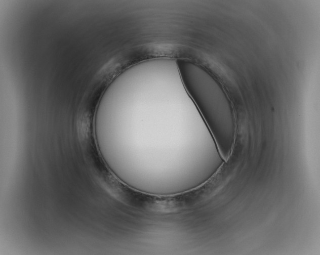 X0000111510744200907141104