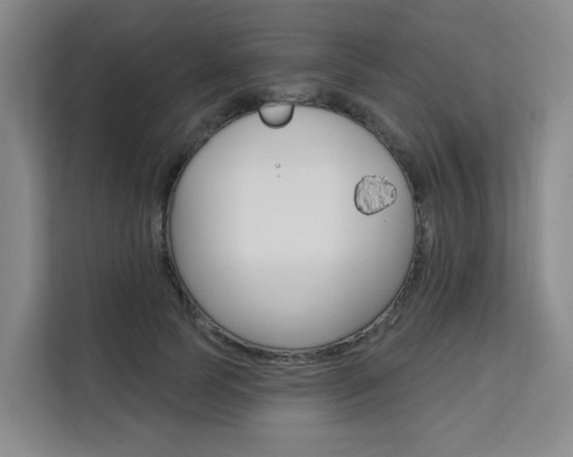 X0000111510745200907141104