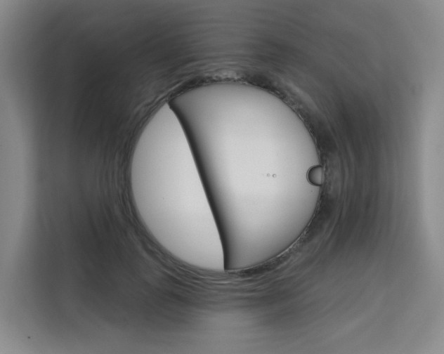 X0000111510747200907141104