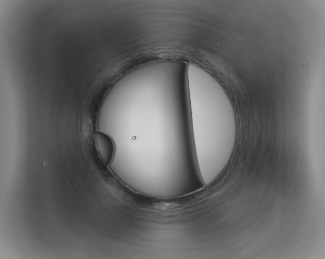 X0000111510748200907141104